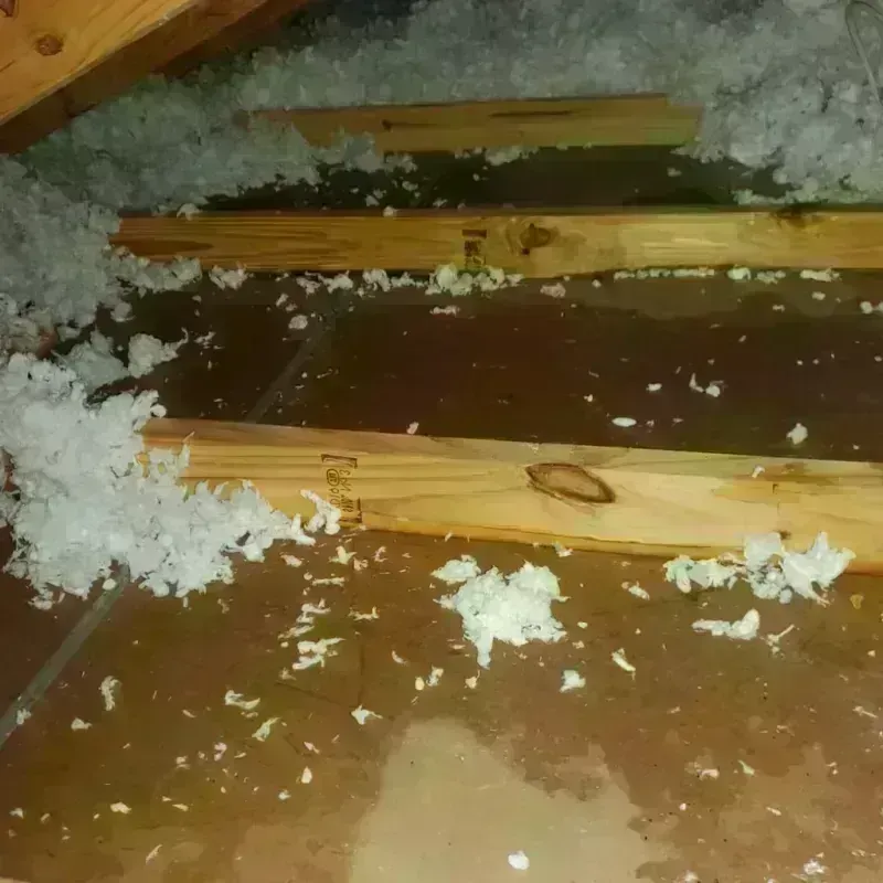 Attic Water Damage in Florida, NY