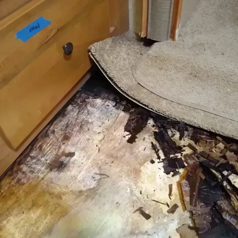 Wood Floor Water Damage in Florida, NY